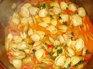 Clams with Tomato (Amêijoas em Tomate)